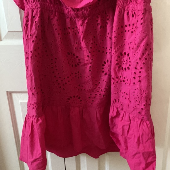 Cider Plus Size Pink Eyelet Dress NWT - Picture 7 of 7